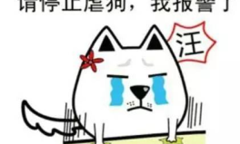 隐形式单身娱乐吃瓜酱,揭秘吃瓜酱背后的单身生活趣味