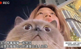 娱乐吃瓜猫原声,揭秘娱乐圈幕后故事