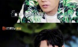 娱乐圈经典吃瓜小说女主,从吃瓜小白到顶级流量女王