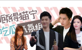 娱乐吃瓜组,吃瓜群众带你领略幕后风云