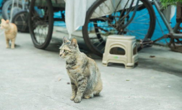 718速看天气吃瓜娱乐,天气、吃瓜、娱乐一站式资讯大盘点