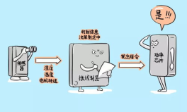 娱乐吃瓜冷知识,娱乐圈那些鲜为人知的“吃瓜”冷知识揭秘