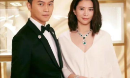 娱乐圈吃瓜爆料横屏下载,揭秘明星幕后故事