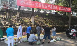娱乐吃瓜酱贫困户,揭秘贫困户背后的真实故事