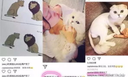 娱乐吃瓜酱虐猫博主小说,吃瓜酱小说揭秘