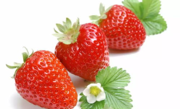 娱乐吃瓜酱草莓视频下载,娱乐吃瓜酱带你轻松获取热门娱乐内容