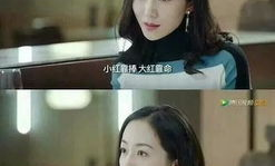 两位吃瓜教授娱乐圈小说,两位教授的娱乐圈奇幻之旅