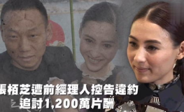 吃瓜娱乐官,吃瓜官带你探秘明星生活